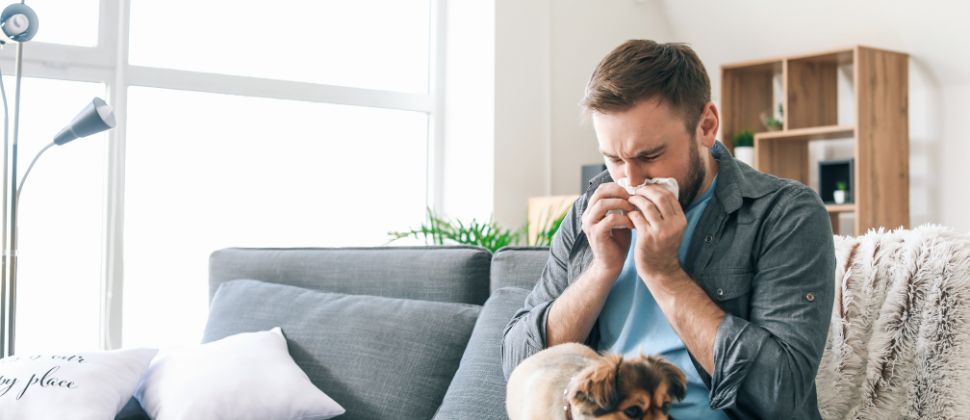 How Are Adult Onset Allergies Developed