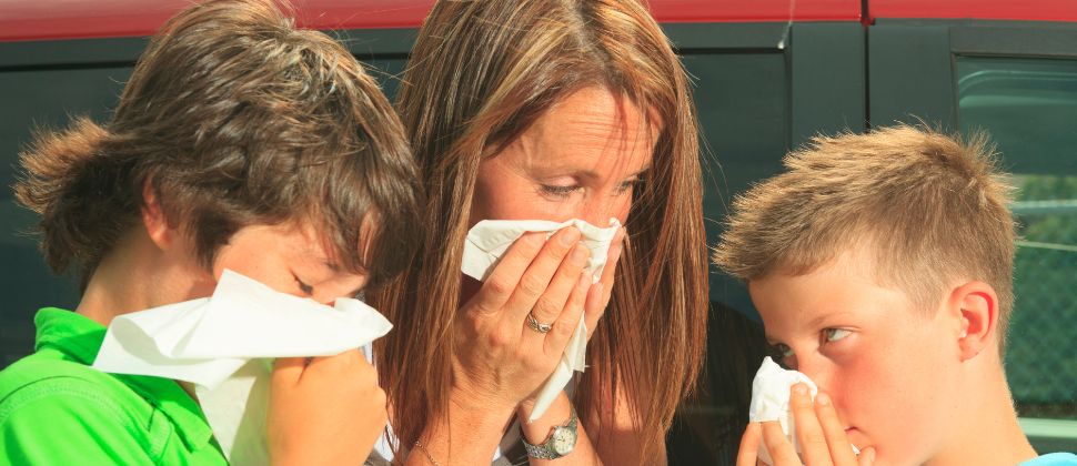 Which Allergies Are Most Common In Adulthood